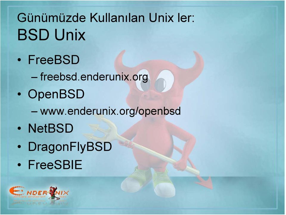 enderunix.org OpenBSD www.