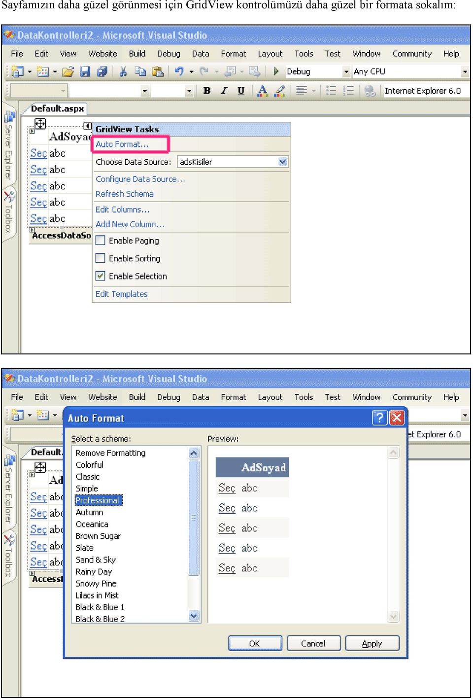 GridView kontrolümüzü