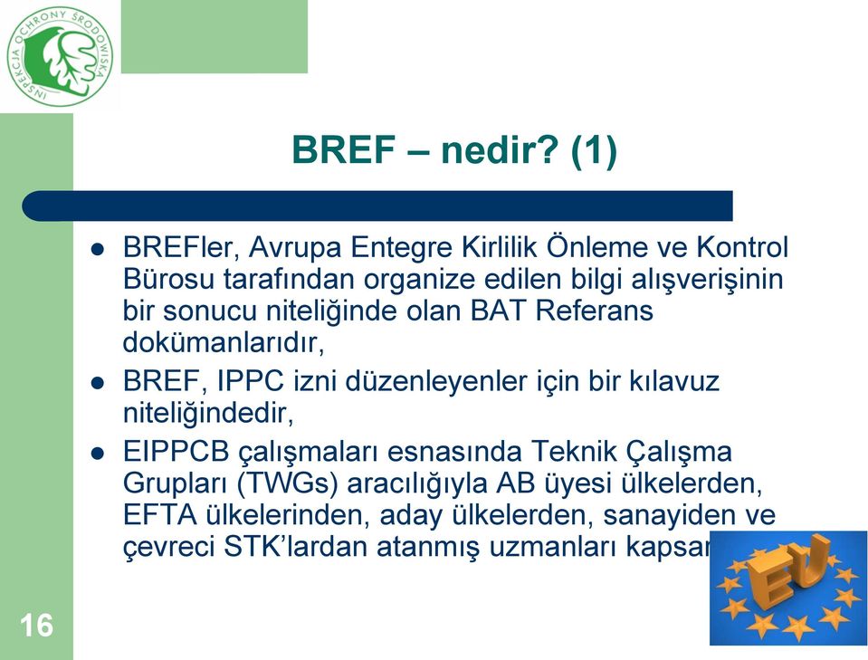 alışverişinin bir sonucu niteliğinde olan BAT Referans dokümanlarıdır, BREF, IPPC izni düzenleyenler için