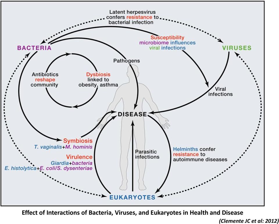 Eukaryotes in Health and