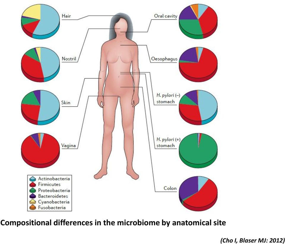 microbiome by
