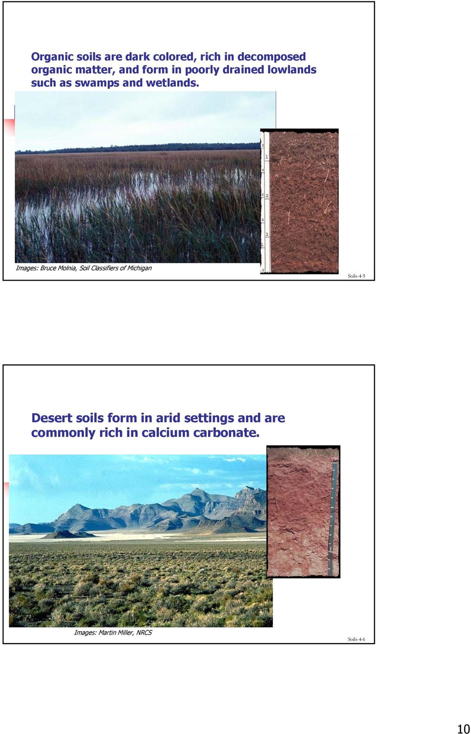 Images: Bruce Molnia, Soil Classifiers of Michigan Soils-4-5 Desert soils