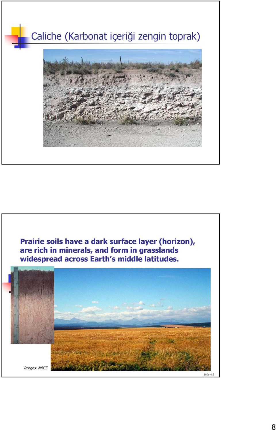 in minerals, and form in grasslands widespread