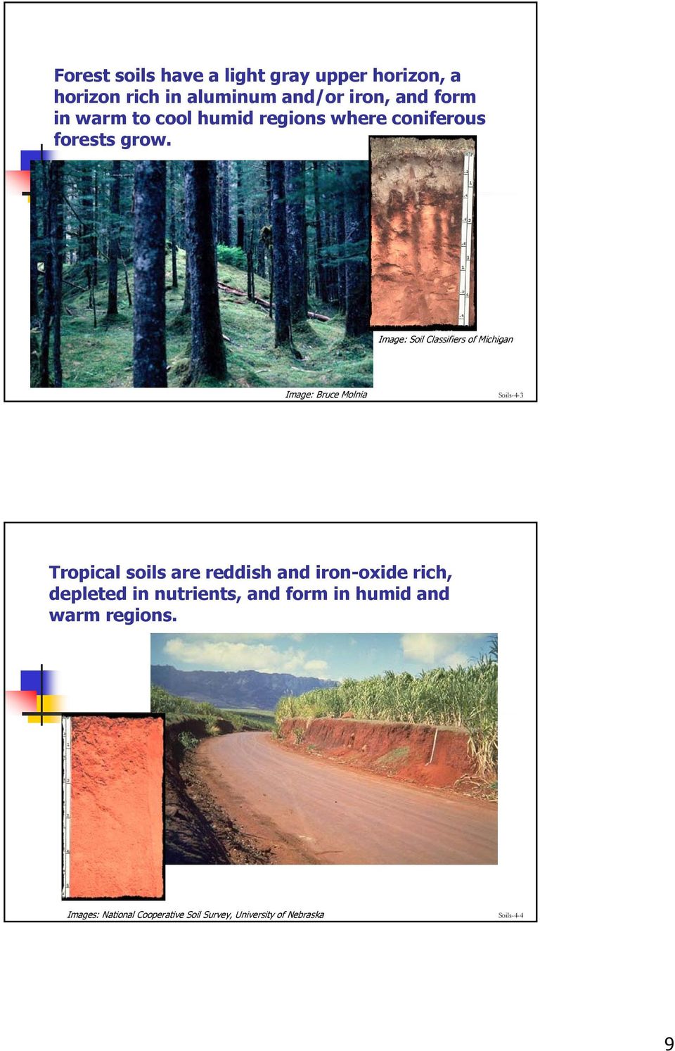 Image: Soil Classifiers of Michigan Image: Bruce Molnia Soils-4-3 Tropical soils are reddish and