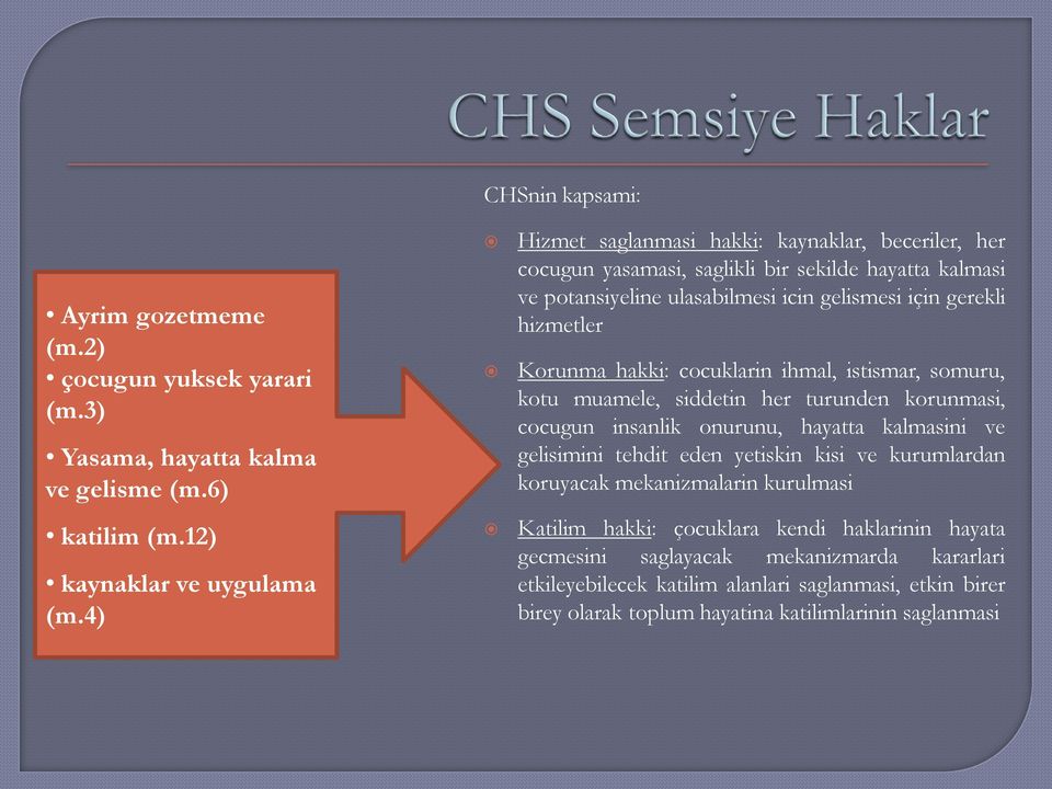 hakki: cocuklarin ihmal, istismar, somuru, kotu muamele, siddetin her turunden korunmasi, cocugun insanlik onurunu, hayatta kalmasini ve gelisimini tehdit eden yetiskin kisi ve kurumlardan