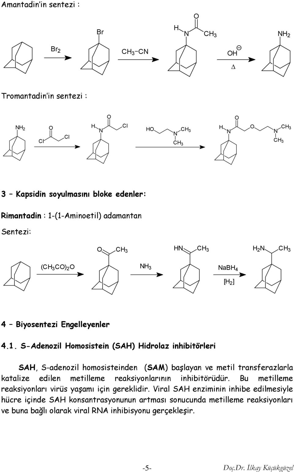 S-Adenozil omosistein (SA) idrolaz inhibitörleri SA, S-adenozil homosisteinden (SAM) başlayan ve metil transferazlarla katalize edilen metilleme