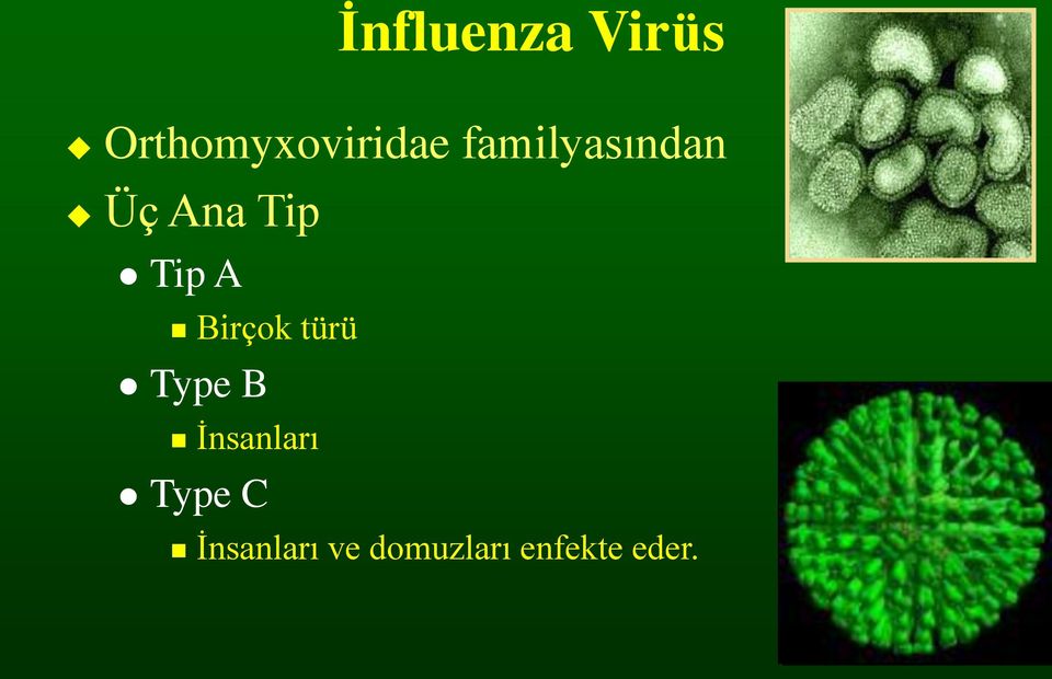 Birçok türü Type B İnsanları Type