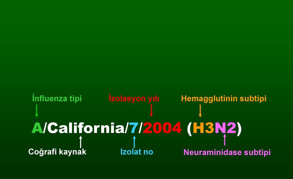A/California/7/2004 (H3N2)