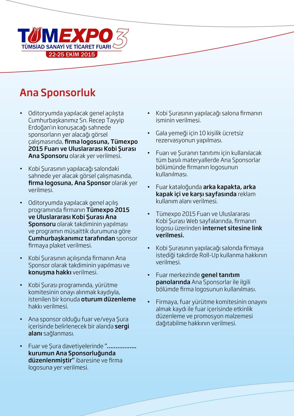 Kobi Şurasının yapılacağı salondaki sahnede yer alacak görsel çalışmasında, firma logosuna, Ana Sponsor olarak yer verilmesi.