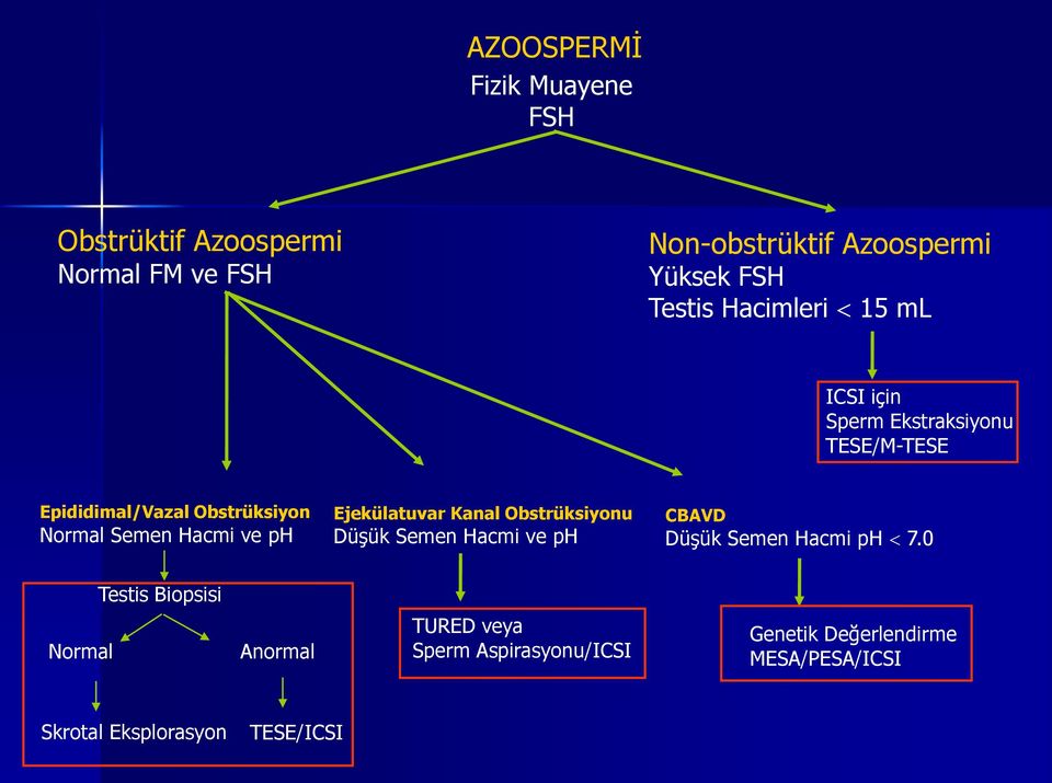 ph Ejekülatuvar Kanal Obstrüksiyonu Düşük Semen Hacmi ve ph CBAVD Düşük Semen Hacmi ph 7.