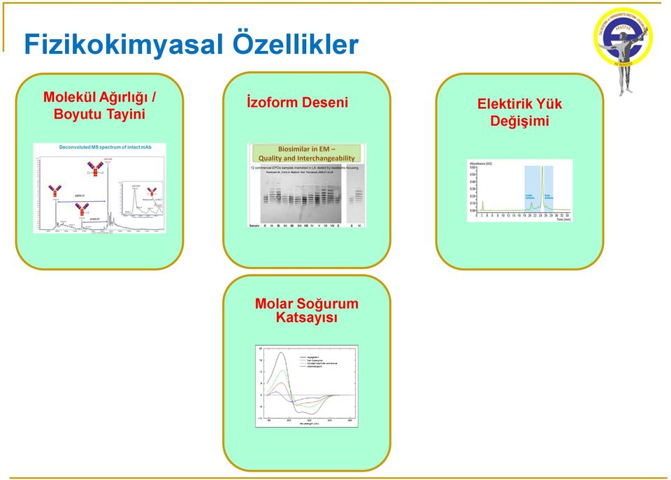 Tayini İzoform Deseni