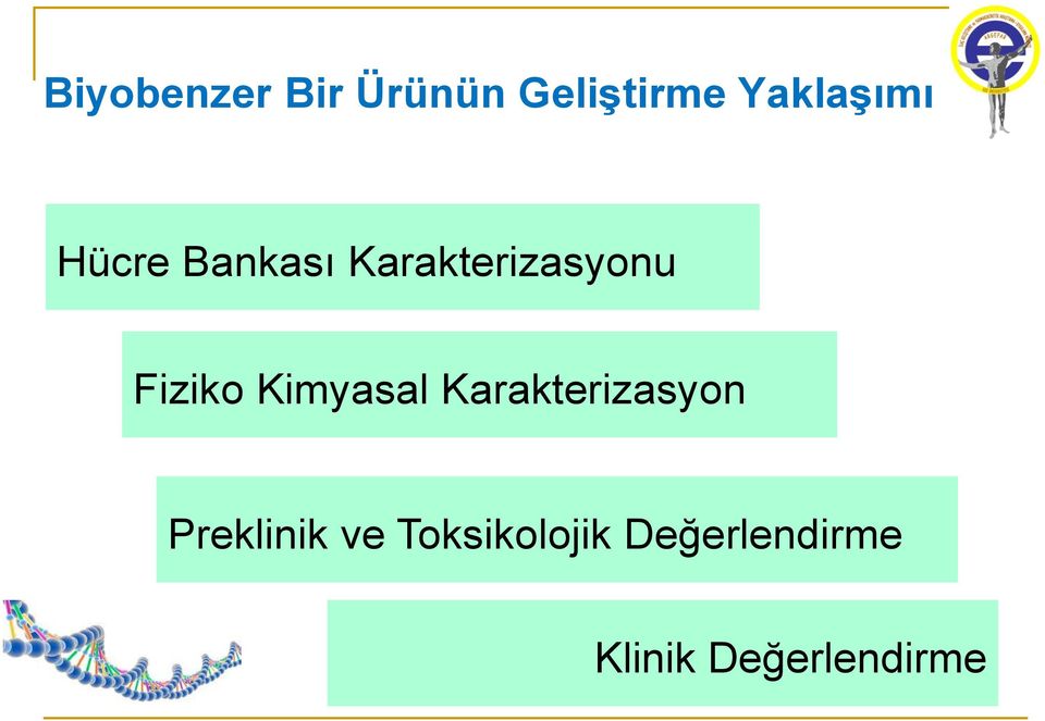 Fiziko Kimyasal Karakterizasyon Preklinik