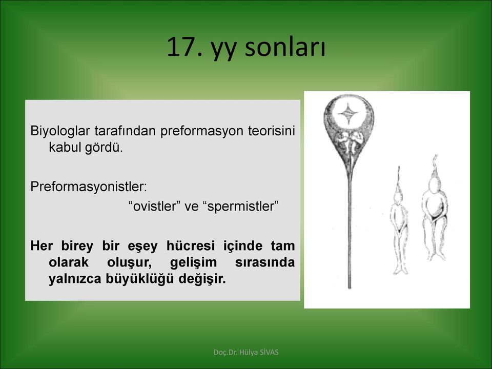 Preformasyonistler: ovistler ve spermistler Her birey