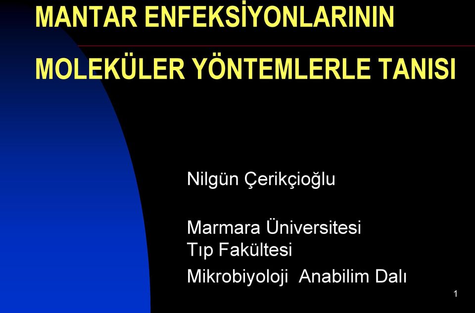 Çerikçioğlu Marmara Üniversitesi