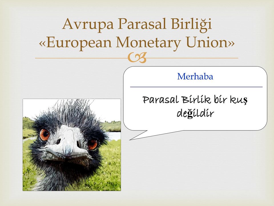 Monetary Union»
