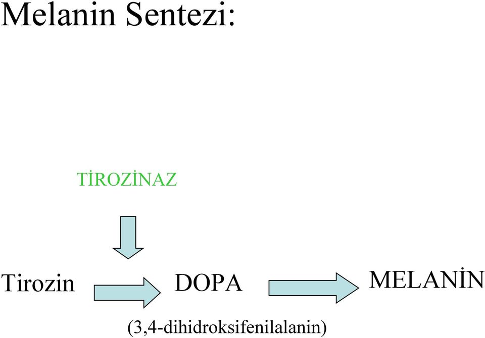 DOPA MELANİN