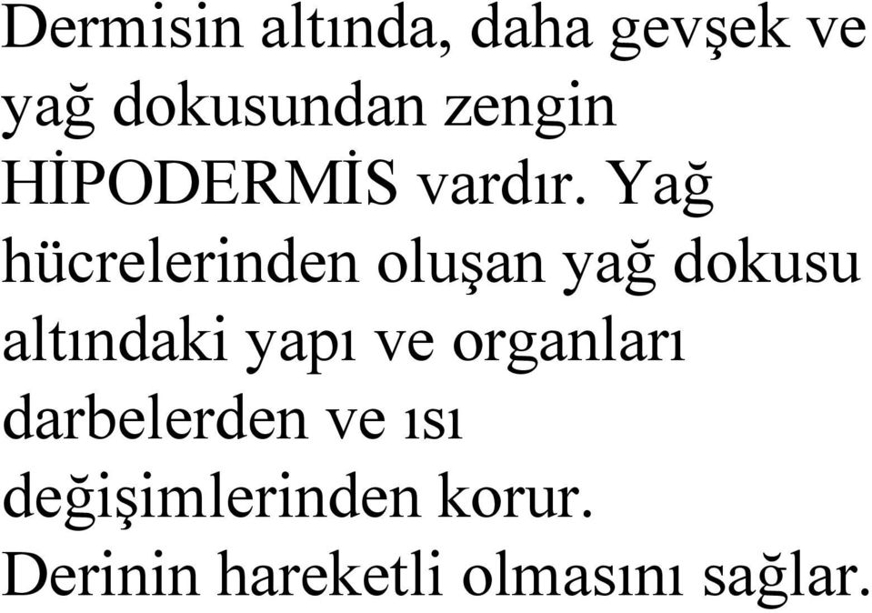 Yağ hücrelerinden oluşan yağ dokusu altındaki yapı ve