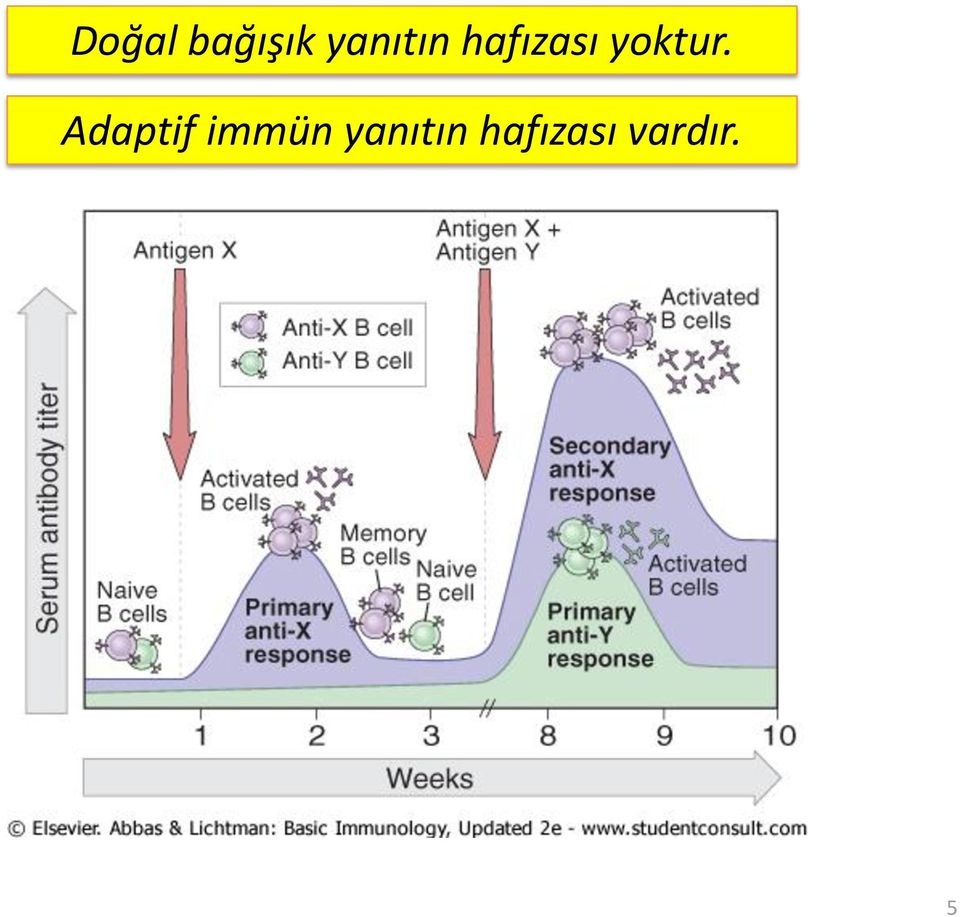 yoktur.