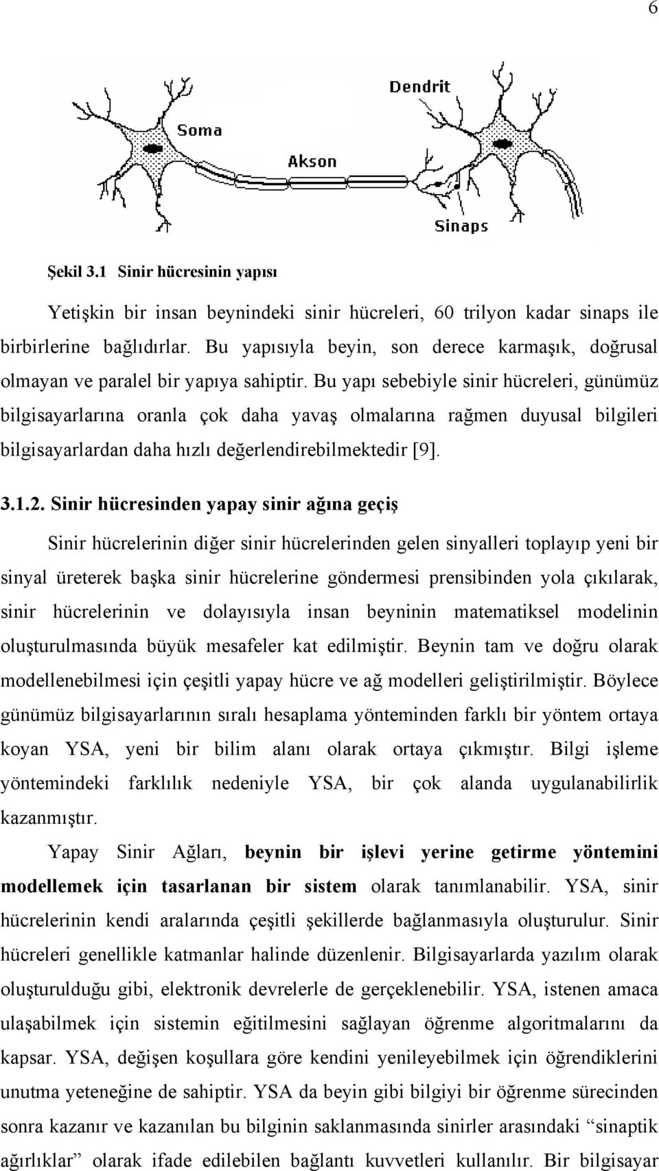 Bu yapı sebebiyle sinir hücreleri, günümüz bilgisayarlarına oranla çok daha yavaş olmalarına rağmen duyusal bilgileri bilgisayarlardan daha hızlı değerlendirebilmektedir [9]. 3.1.2.