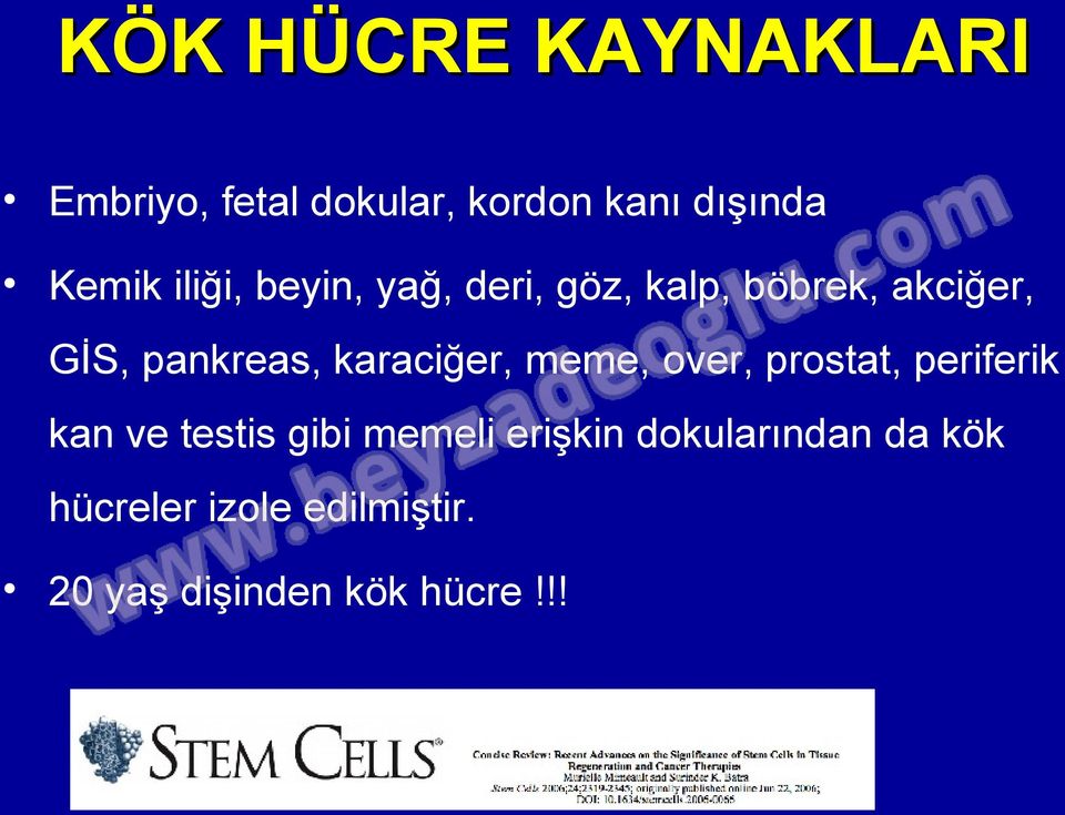 karaciğer, meme, over, prostat, periferik kan ve testis gibi memeli