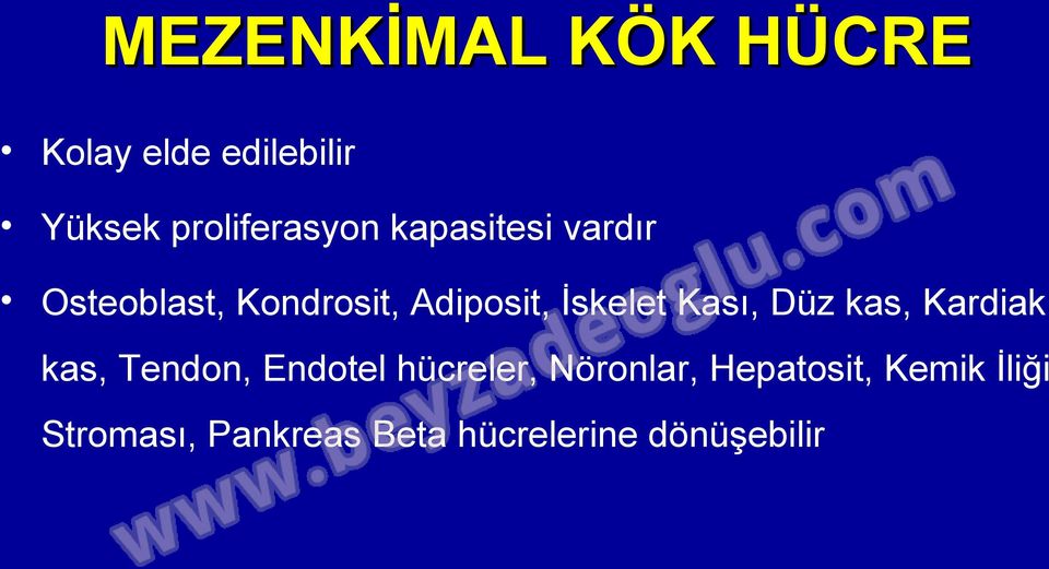 Düz kas, Kardiak kas, Tendon, Endotel hücreler, Nöronlar,