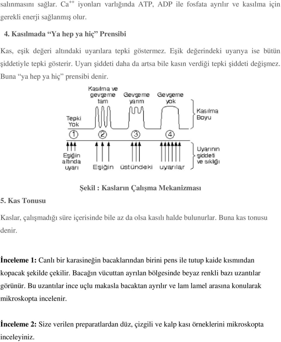 Uyarı şiddeti daha da artsa bile kasın verdiği tepki şiddeti değişmez. Buna ya hep ya hiç prensibi denir. 5.