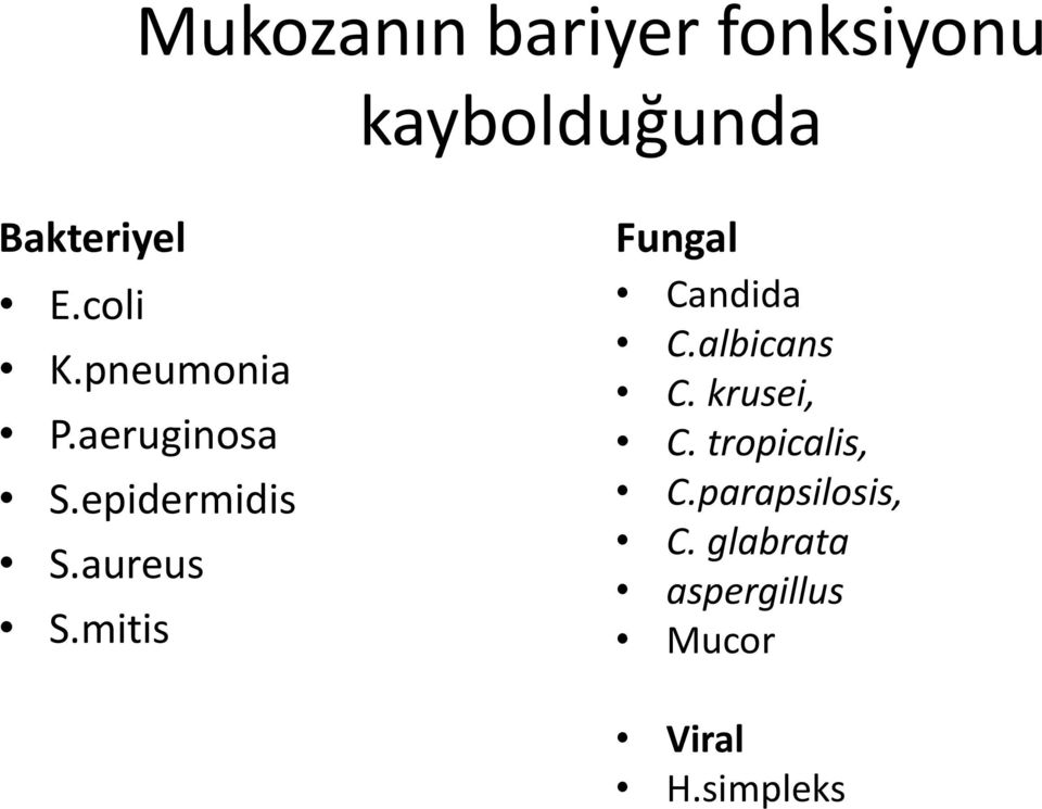 mitis Fungal Candida C.albicans C. krusei, C.