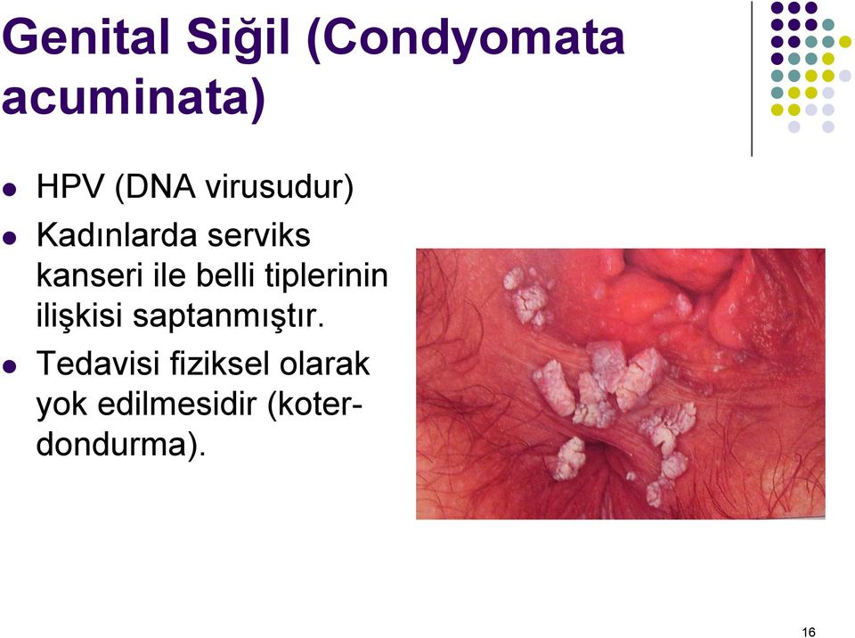 belli tiplerinin ilişkisi saptanmıştır.