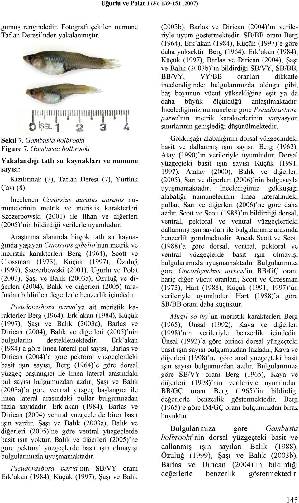 İncelenen Carassius auratus auratus numunelerinin metrik ve meristik karakterleri Szczerbowski (2001) ile İlhan ve diğerleri (2005) nin bildirdiği verilerle uyumludur.