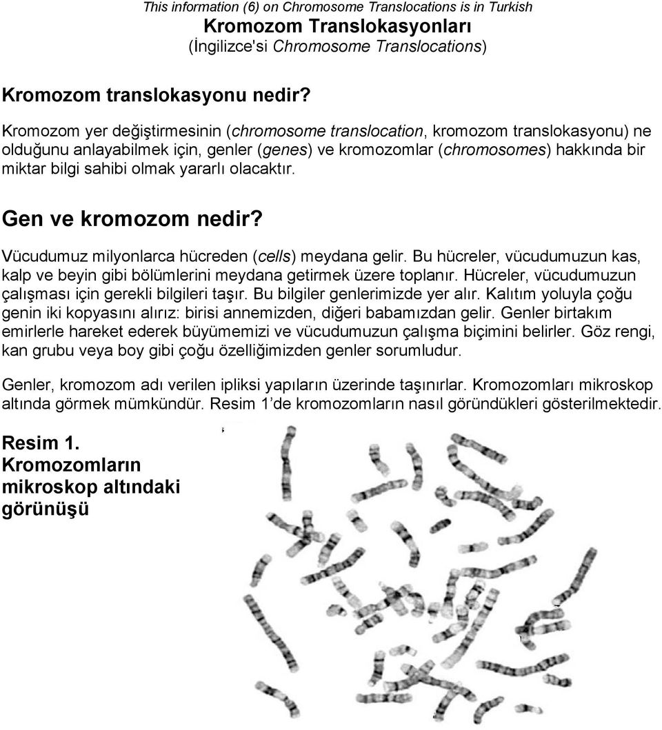 yararlı olacaktır. Gen ve kromozom nedir? Vücudumuz milyonlarca hücreden (cells) meydana gelir. Bu hücreler, vücudumuzun kas, kalp ve beyin gibi bölümlerini meydana getirmek üzere toplanır.