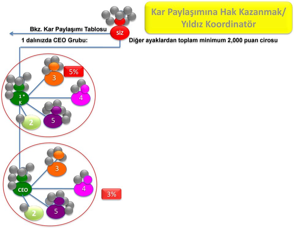 Kar Paylaşımı Tablosu 1 dalınızda