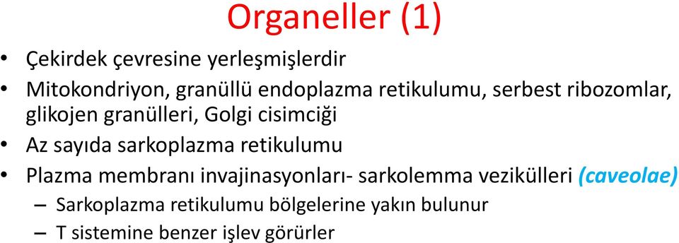 sarkoplazma retikulumu Plazma membranı invajinasyonları- sarkolemma vezikülleri