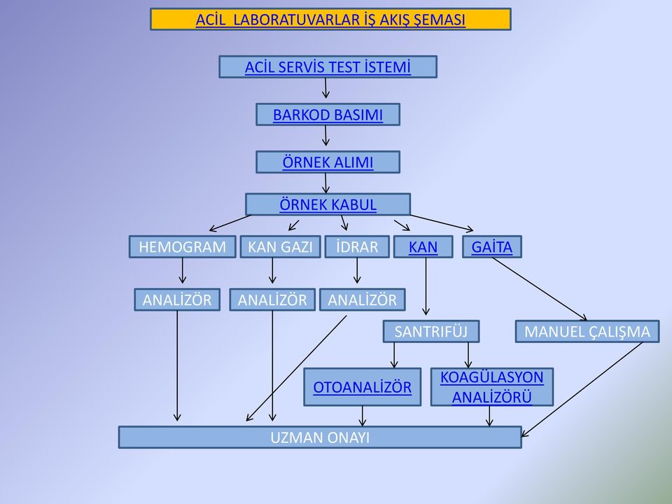 KAN GAZI İDRAR KAN GAİTA ANALİZÖR ANALİZÖR ANALİZÖR