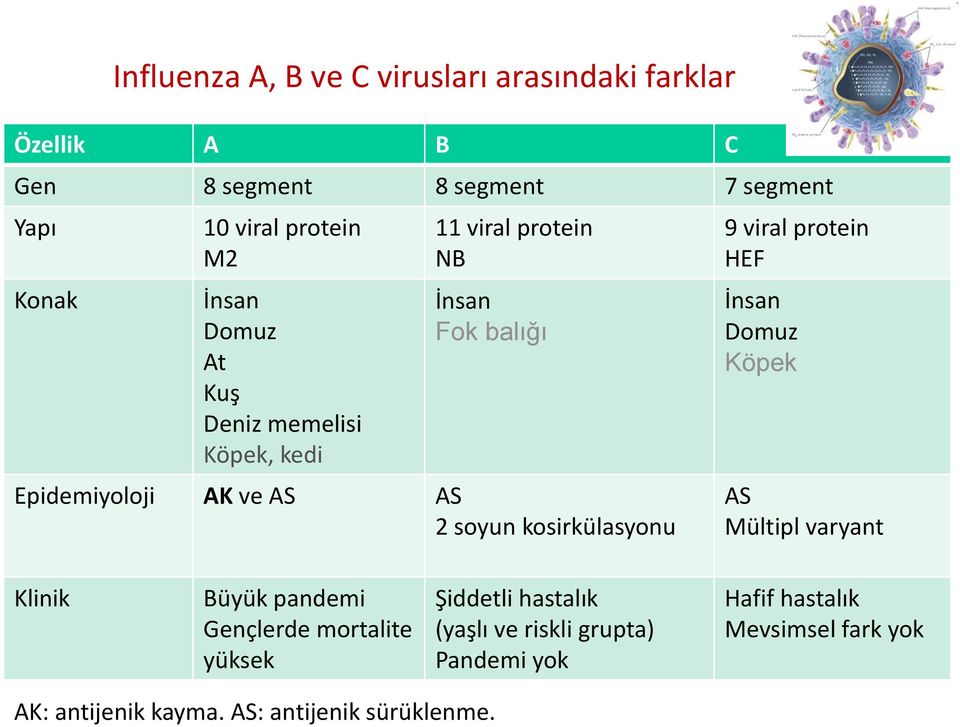 kosirkülasyonu 9 viral protein HEF İnsan Domuz Köpek AS Mültipl varyant Klinik Büyük pandemi Gençlerde mortalite yüksek