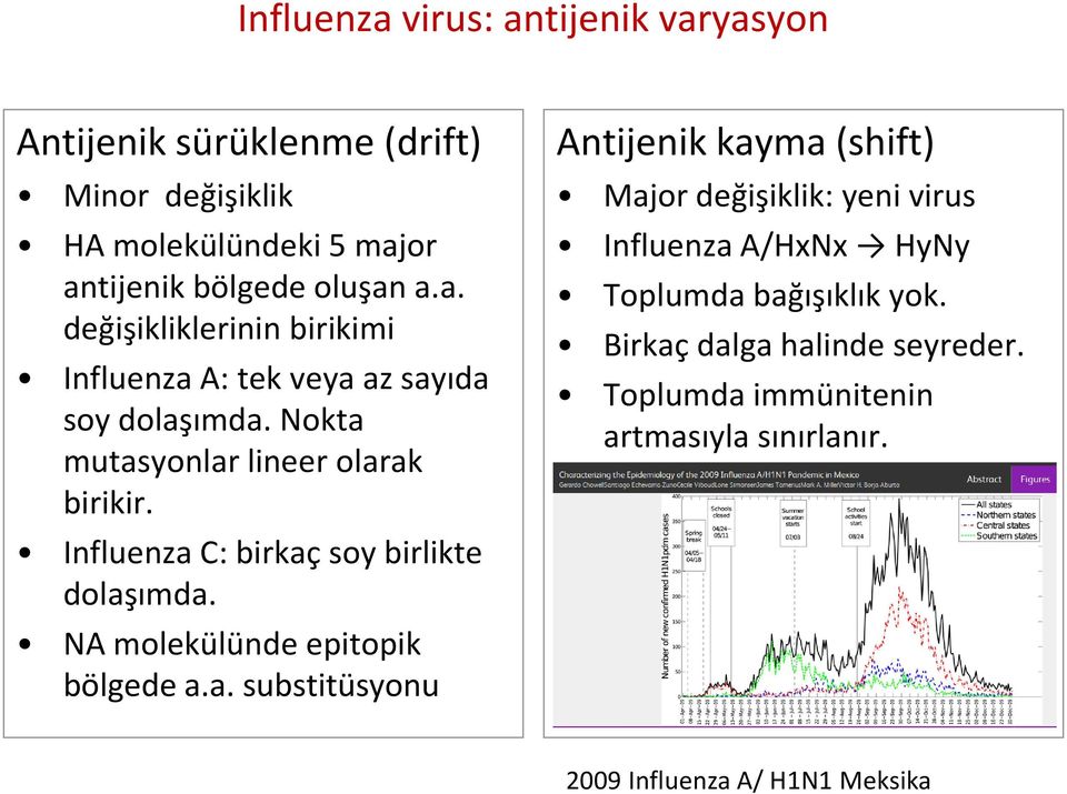 Birkaç dalga halinde seyreder. Toplumda immünitenin artmasıyla sınırlanır. 2009 Influenza A/ H1N1 Meksika