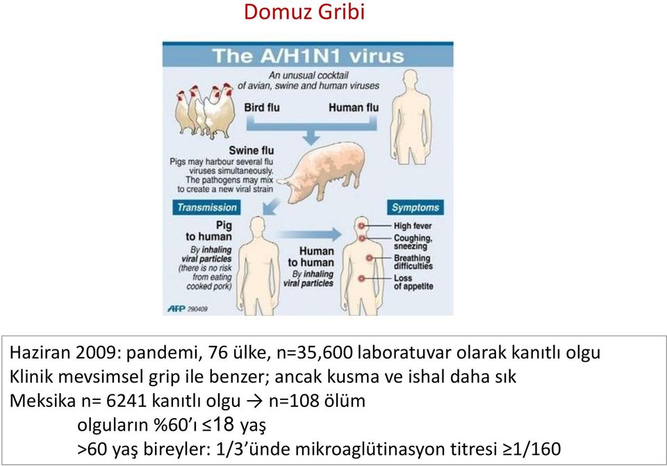 ve ishal daha sık Meksika n= 6241 kanıtlı olgu n=108 ölüm olguların