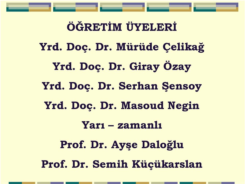 Doç. Dr. Serhan Şensoy Yrd. Doç. Dr. Masoud Negin Yarı zamanlı Prof.