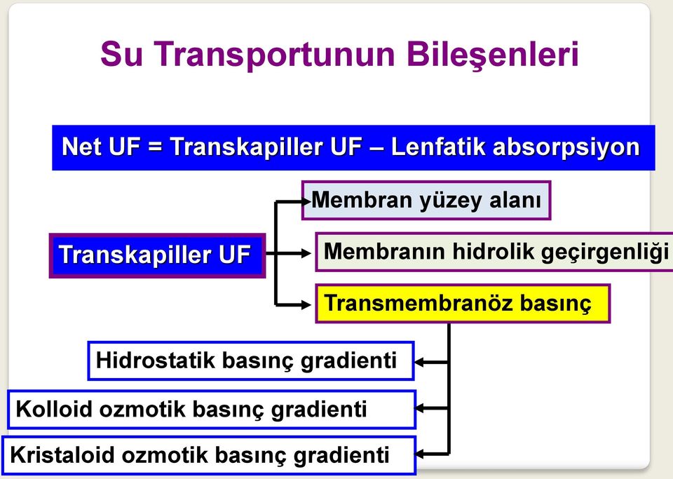 hidrolik geçirgenliği Transmembranöz basınç Hidrostatik basınç