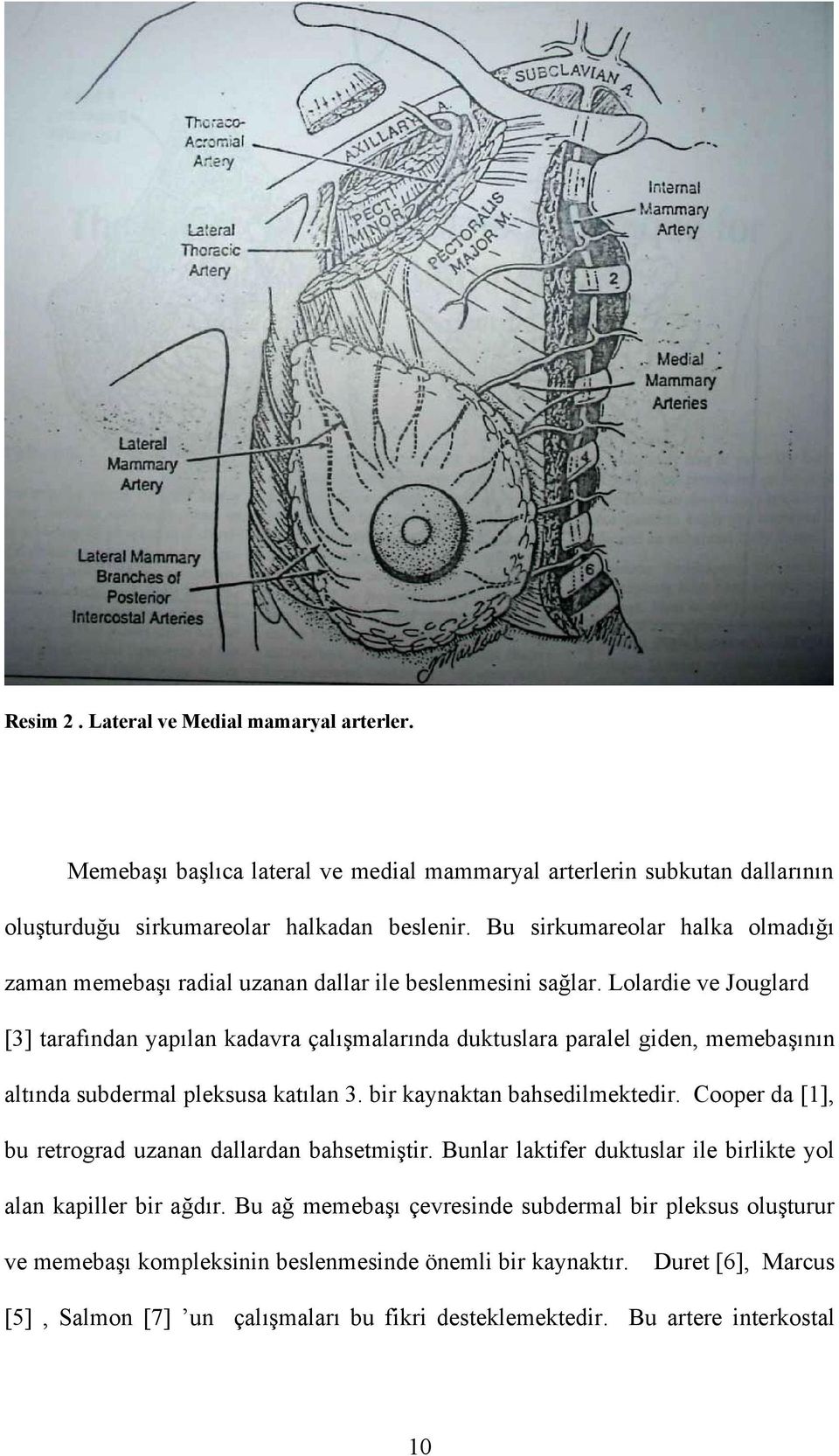 Lolardie ve Jouglard [3] tarafından yapılan kadavra çalışmalarında duktuslara paralel giden, memebaşının altında subdermal pleksusa katılan 3. bir kaynaktan bahsedilmektedir.