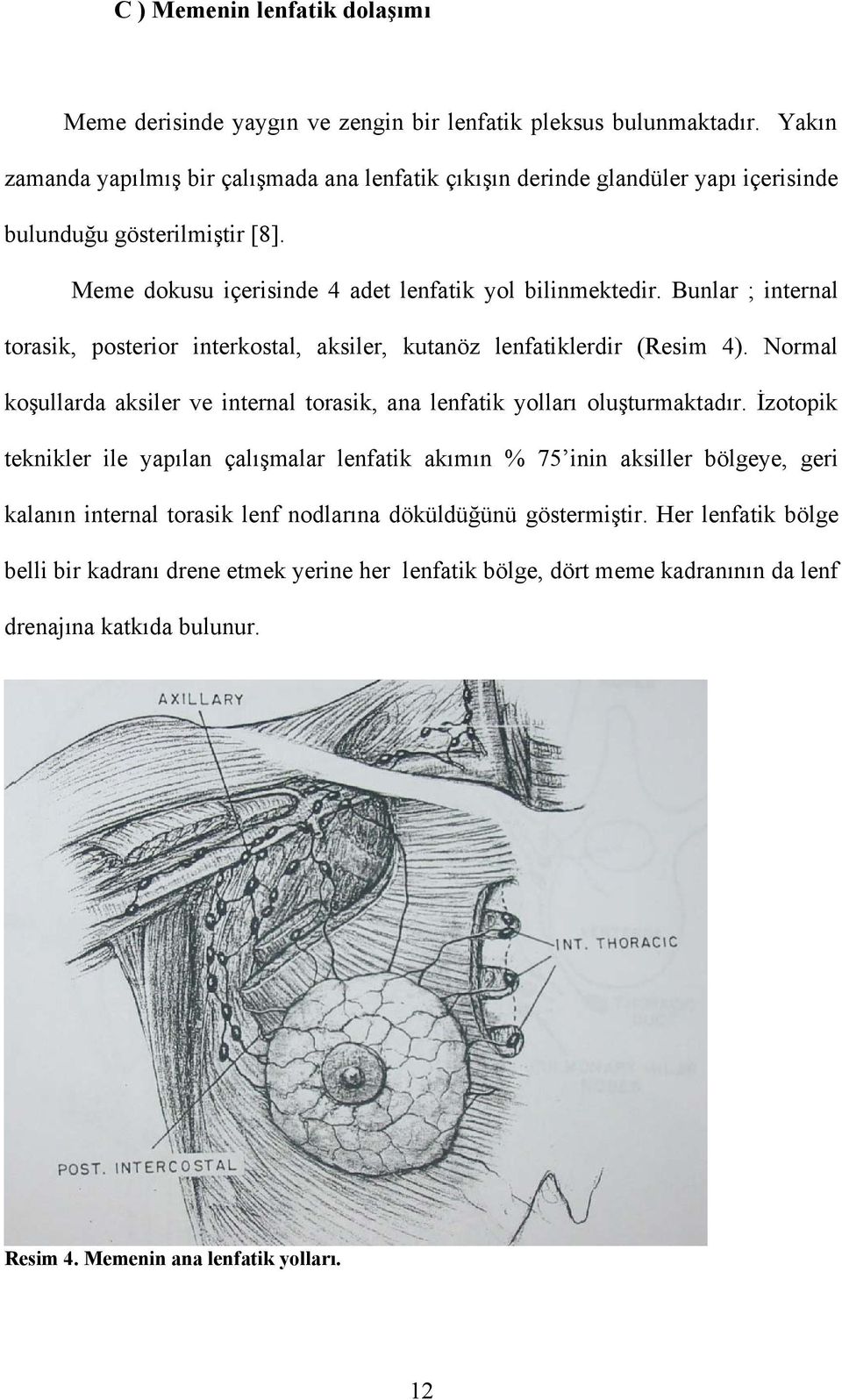Bunlar ; internal torasik, posterior interkostal, aksiler, kutanöz lenfatiklerdir (Resim 4). Normal koşullarda aksiler ve internal torasik, ana lenfatik yolları oluşturmaktadır.