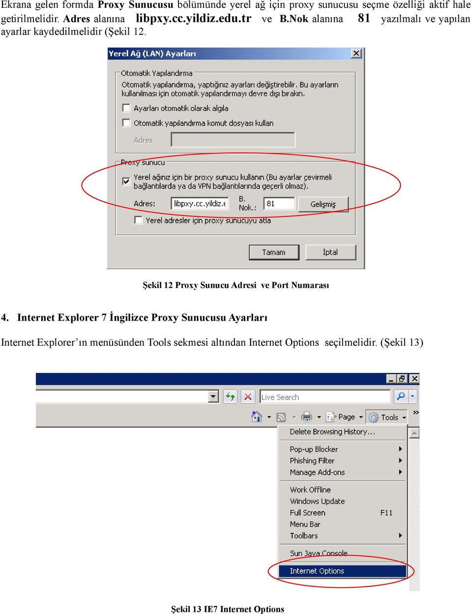 Şekil 12 Proxy Sunucu Adresi ve Port Numarası 4.