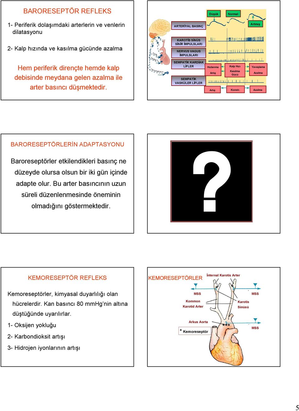 ARTERİYAL BASINÇ KAROTİS SİNÜS SİNİR İMPULSLARI NERVUS VAGUS İMPULSLARI SEMPATİK KARDİAK LİFLER SEMPATİK VASKÜLER LİFLER Hızlanma Artış Kalp Hızı Kasılma Gücü Artmış Yavaşlama Azalma Artış Konstr.