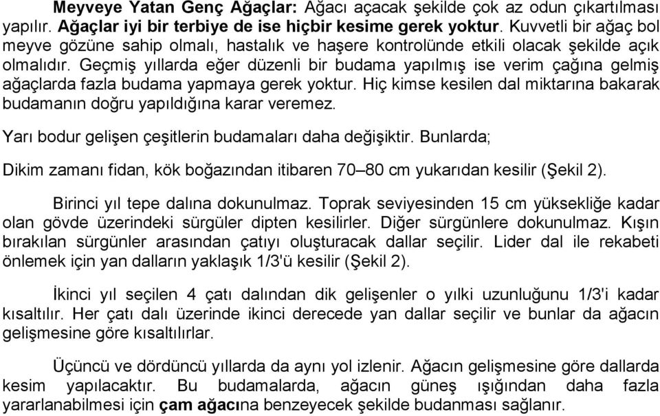 Geçmiş yıllarda eğer düzenli bir budama yapılmış ise verim çağına gelmiş ağaçlarda fazla budama yapmaya gerek yoktur. Hiç kimse kesilen dal miktarına bakarak budamanın doğru yapıldığına karar veremez.