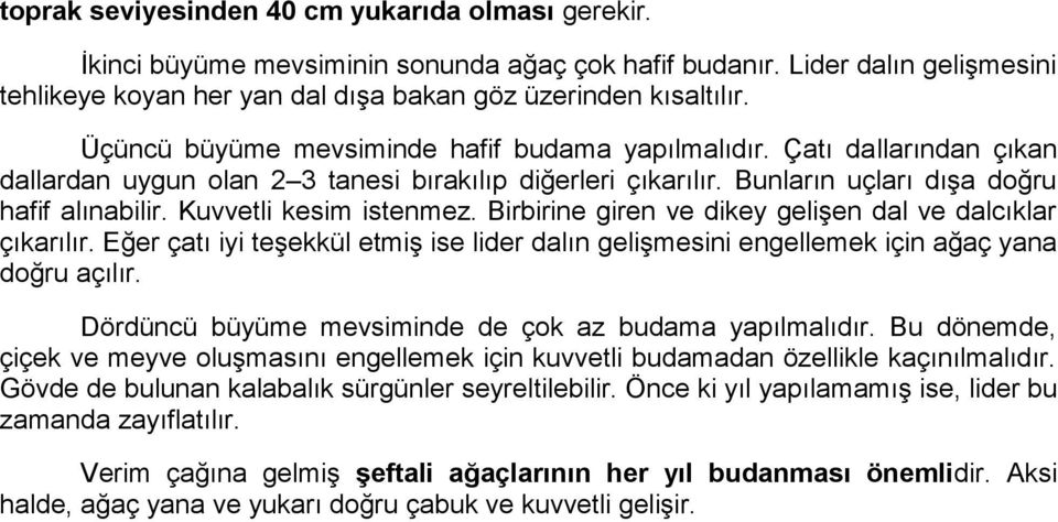 Kuvvetli kesim istenmez. Birbirine giren ve dikey gelişen dal ve dalcıklar çıkarılır. Eğer çatı iyi teşekkül etmiş ise lider dalın gelişmesini engellemek için ağaç yana doğru açılır.