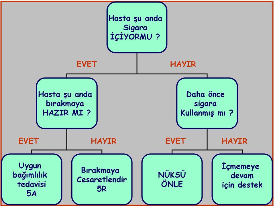 Daha önce sigara Kullanmış mı?