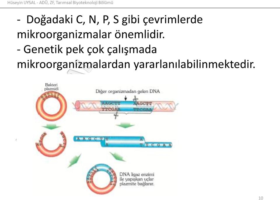 önemlidir.