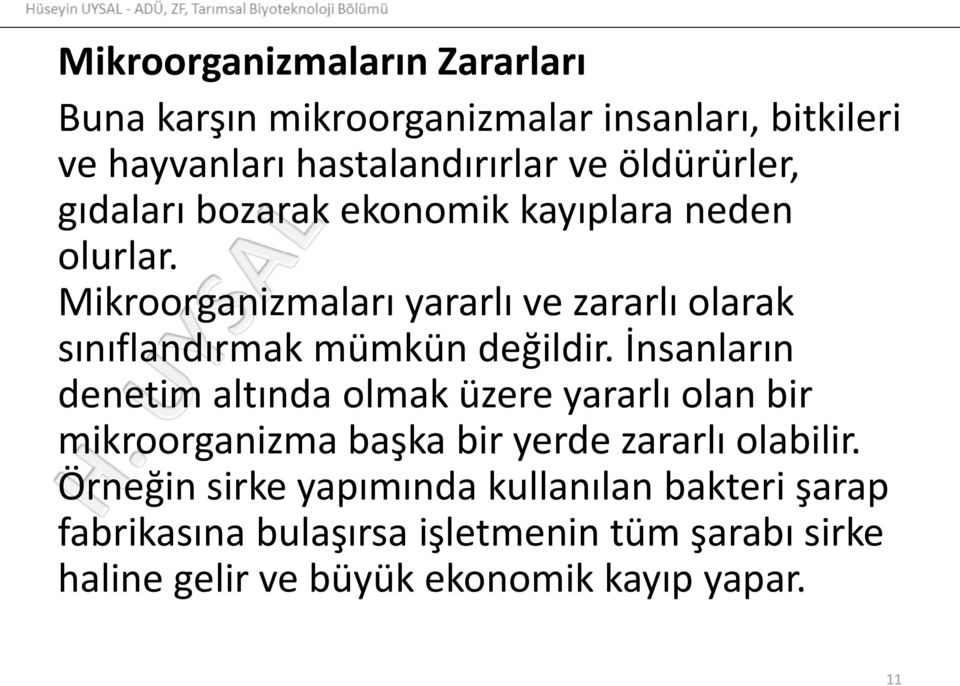 İnsanların denetim altında olmak üzere yararlı olan bir mikroorganizma başka bir yerde zararlı olabilir.