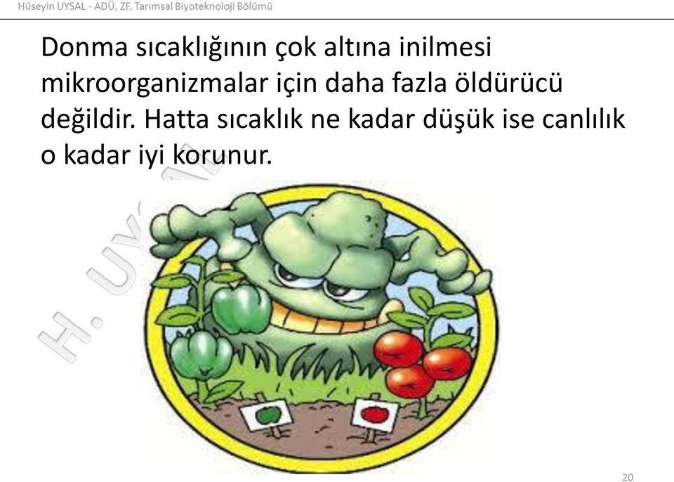 öldürücü değildir.