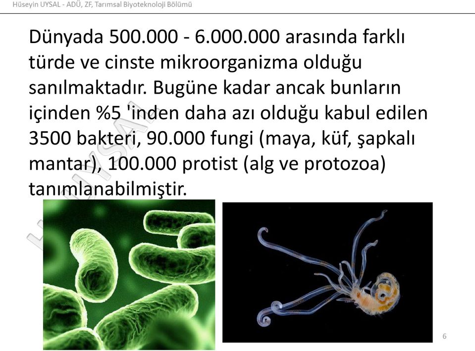 000 arasında farklı türde ve cinste mikroorganizma olduğu