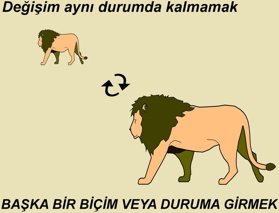 kalmamak BAŞKA